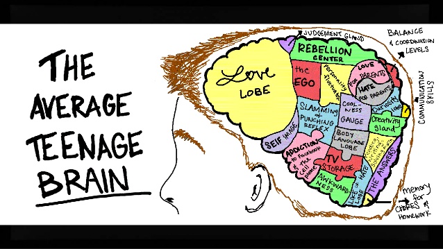 teen-brain-3-638